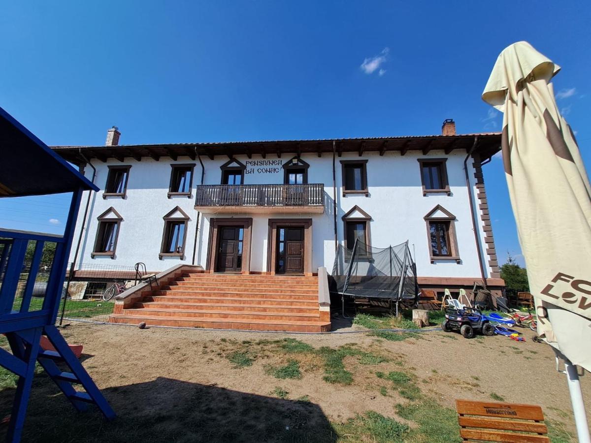 Pensiunea La Conac Bîrlad 外观 照片